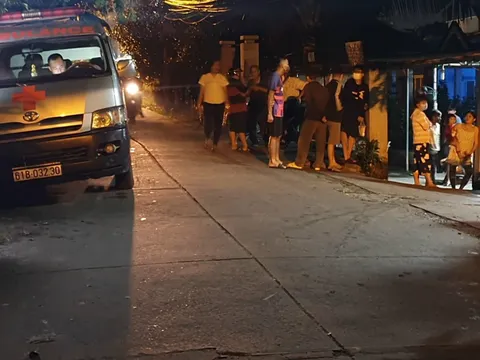 Bình Dương: Chồng chém vợ tử vong, mẹ vợ trọng thương