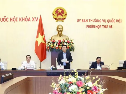 Kết luận của Ủy ban Thường vụ Quốc hội về dự thảo Nghị quyết thí điểm cấp quyền lựa chọn sử dụng biển số ô tô thông qua đấu giá