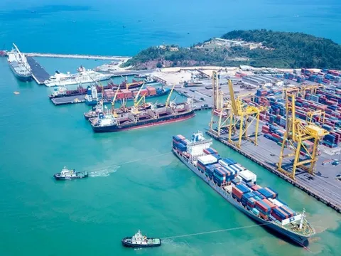 Xây dựng chính sách hỗ trợ DN vận tải biển chuyển đổi hoàn toàn sang năng lượng xanh