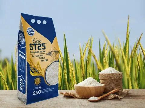Gạo lúa tôm ST25 AGH tinh tuý ‘hương thơm đất mẹ’