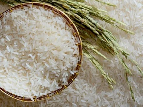 Gạo ST25 AGH - Ngọc của trời, Hương của đất