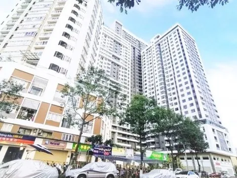 Bắt tạm giam Phó Tổng Giám đốc Công ty Nhà Đà Nẵng