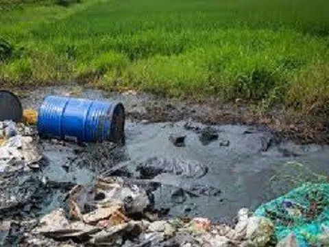 Vai trò của Hội Luật gia Việt Nam trong công tác bảo vệ môi trường