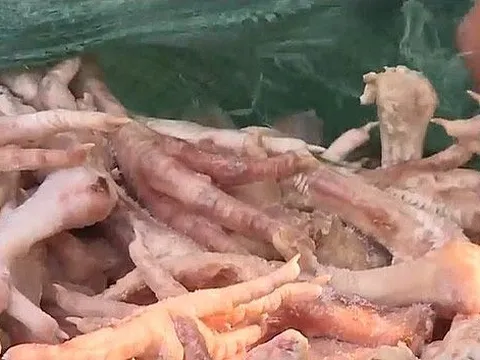 Hà Nội: Tiêu huỷ hơn 3 tấn chân gà bẩn chuẩn bị tuồn ra thị trường