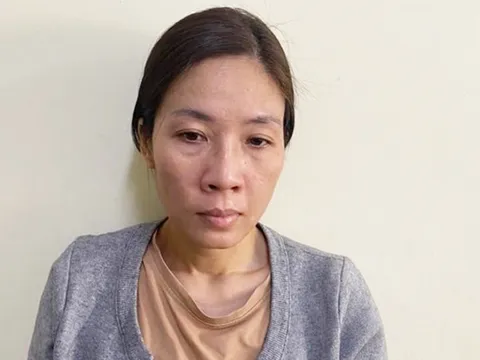 Hà Nội: Nữ giúp việc phá két sắt, trộm hơn 2 tỷ đồng của chủ nhà