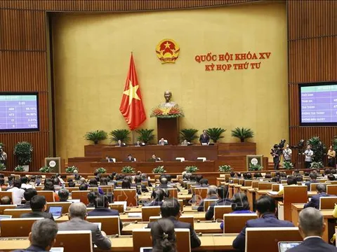 Quốc hội thông qua Nghị quyết về thí điểm đấu giá biển số xe ô tô có hiệu lực từ ngày 1/7/2023