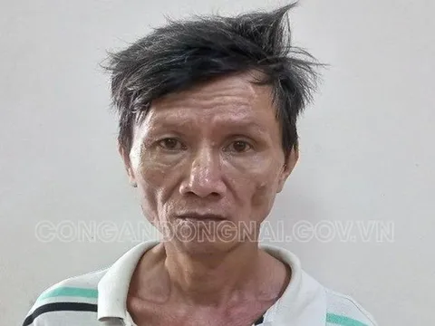 Bắt khẩn cấp nghi phạm dùng gậy đánh chết mẹ ruột ở Đồng Nai