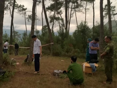 Khởi tố, bắt tạm giam nữ giáo viên mầm non giết người tình trên đồi thông