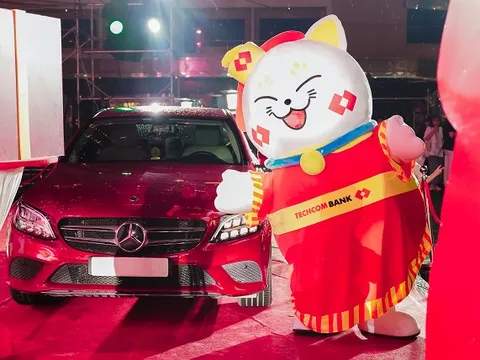 Cơn sốt 'mèo đại cát' với các siêu giải thưởng