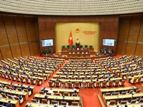 Nghị quyết Kỳ họp thứ 4, Quốc hội khóa XV