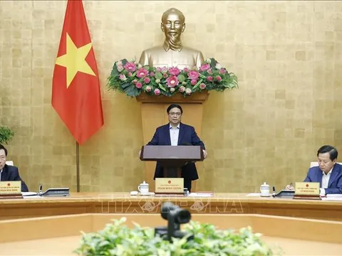 Thủ tướng Phạm Minh Chính chủ trì Phiên họp Chính phủ thường kỳ tháng 11/2022