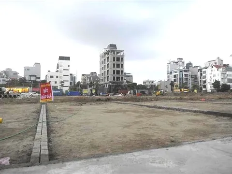Siết chặt hoạt động đấu giá đất nhằm tránh lợi dụng vì mục đích đầu cơ