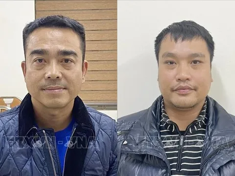 Khởi tố Tổng Giám đốc Công ty Blue Sky liên quan vụ 'chuyến bay giải cứu'