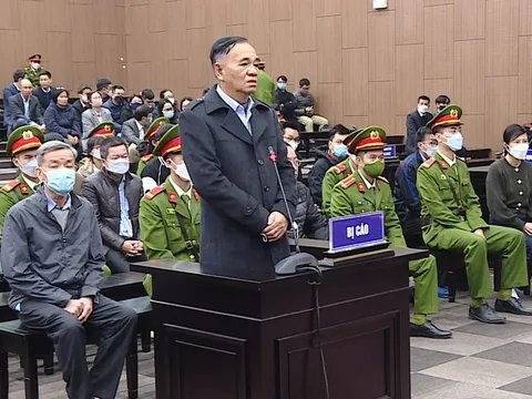 Vụ AIC: Luật sư đề nghị cho cựu Bí thư Đồng Nai hưởng khoan hồng đặc biệt