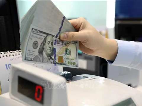 Hướng dẫn thanh toán, chuyển tiền một chiều từ Việt Nam ra nước ngoài