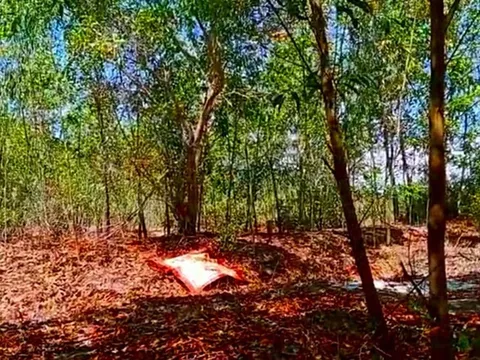 Điều tra vụ hai vợ chồng trẻ tử vong trên rẫy ở Quảng Trị