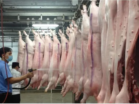 Tăng cường quản lý, kiểm soát giết mổ động vật bảo đảm an toàn dịch bệnh, an toàn thực phẩm