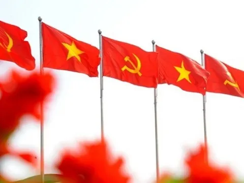 Cơ đồ, tiềm lực Việt Nam