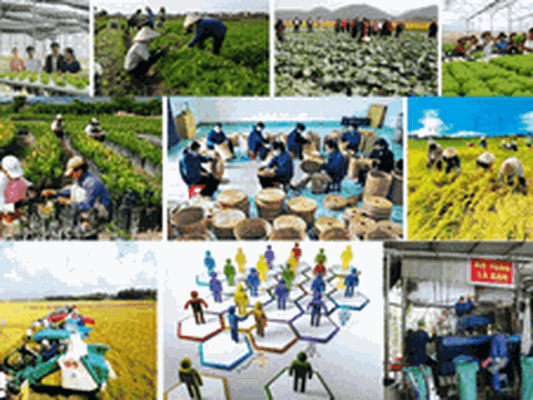 Chỉ đạo, điều hành của Chính phủ, Thủ tướng Chính phủ ngày 2/2