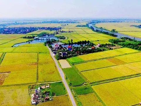 Hoàn thiện quy định về công nhận quyền đối với hộ gia đình, cá nhân không có giấy tờ về quyền sử dụng đất