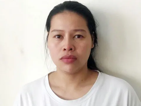 Nữ cộng tác viên công ty môi giới lao động chiếm đoạt tiền tỷ