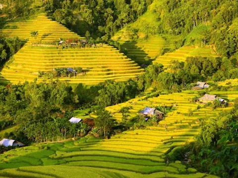 Hoàn thiện các quy định về miễn, giảm tiền sử dụng đất