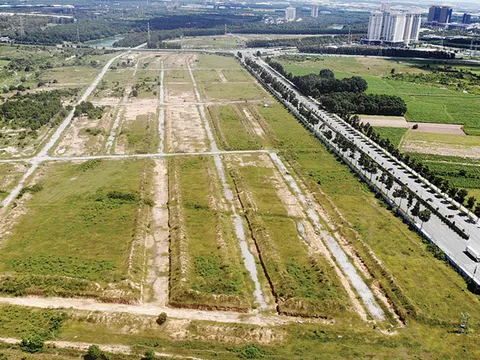 Không thành lập mới Quỹ phát triển đất trong thời gian Luật Đất đai năm 2013 sửa đổi chưa được ban hành