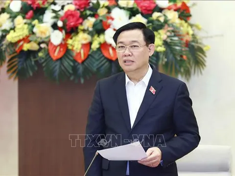 Triển khai nhiệm vụ của Đảng đoàn Quốc hội