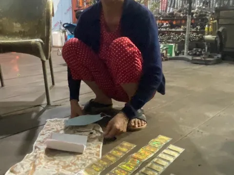 Bắt tạm giam nữ giúp việc trộm 47 lượng vàng của chủ nhà ở TP. Thủ Đức