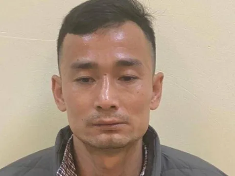 Đã bắt được nghi phạm sát hại dã man 2 mẹ con ở Hà Nội