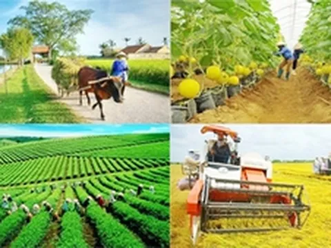 Chỉ đạo, điều hành của Chính phủ, Thủ tướng Chính phủ ngày 8/3