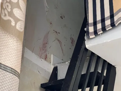 Điều tra vụ cha dượng và con gái tử vong trong phòng trọ ở TP.HCM