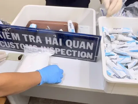 Căn cứ pháp lý nào để trả tự do cho 4 tiếp viên hàng không trong vụ 4 vali có chứa ma túy?