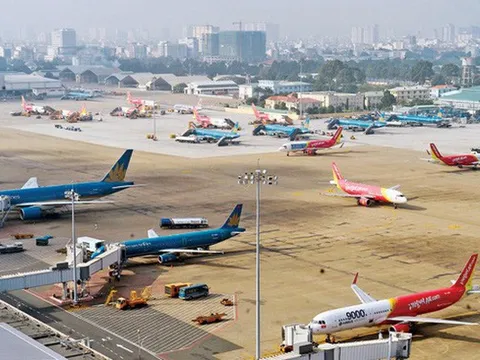 Tạm đình chỉ công việc nhân viên hàng không trong trường hợp nào?