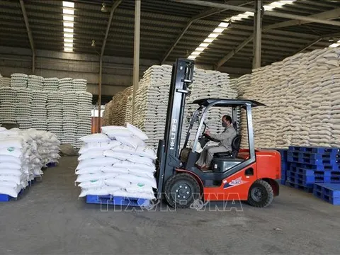 Những chỉ đạo, điều hành của Chính phủ, Thủ tướng Chính phủ nổi bật tuần từ 10 - 14/4