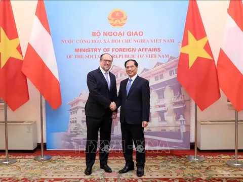Tăng cường quan hệ hữu nghị và hợp tác Việt Nam - Áo