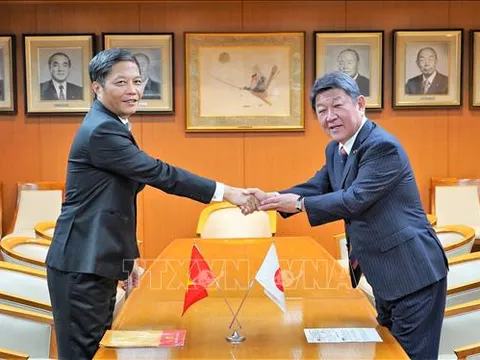 50 năm quan hệ Việt Nam - Nhật Bản: Thúc đẩy quan hệ đối tác chiến lược sâu rộng