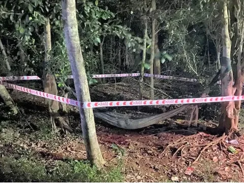 Thanh Hoá: Em trai sát hại anh ruột sau cuộc nhậu