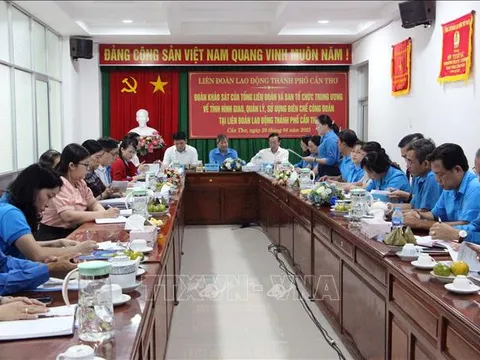 Tháo gỡ vướng mắc trong quản lý, sử dụng biên chế Công đoàn