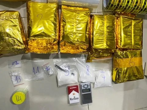 Triệt phá đường dây ma túy xuyên quốc gia do Việt kiều điều hành