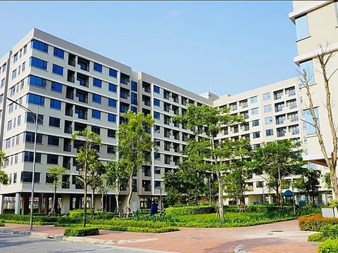 Sửa nguyên tắc lựa chọn chủ đầu tư dự án nhà ở xã hội theo hình thức đấu thầu