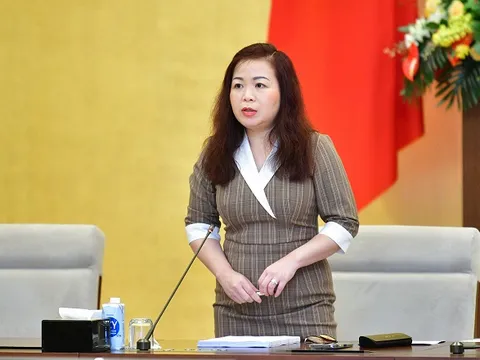 Đề nghị giữ quy định giá trần, không áp giá sàn với dịch vụ hàng không