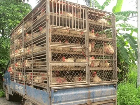 Chỉ đạo, điều hành của Chính phủ, Thủ tướng Chính phủ nổi bật tuần từ 15-19/5/2023