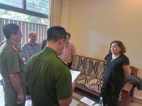 Đồng Nai: Bắt tạm giam nữ giám đốc trốn thuế hơn 3,5 tỷ đồng