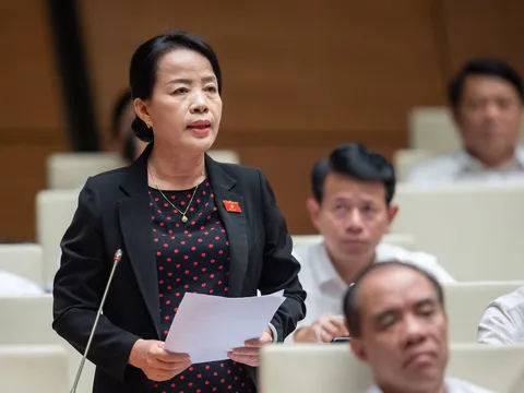 Đại biểu Quốc hội đề xuất bỏ giá trần, giá sàn vé máy bay