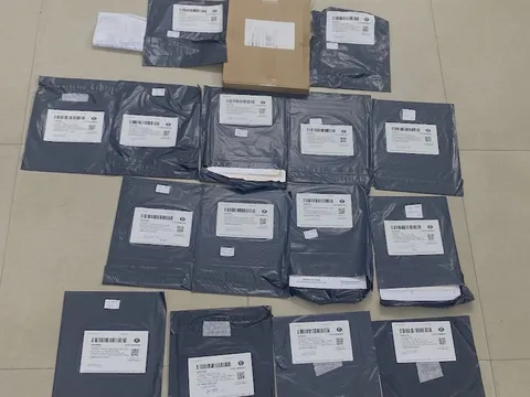 Đà Nẵng: Triệt phá đường dây vận chuyển giấy tờ giả ngụy trang tranh phong thủy