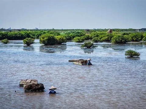 Rất cần giáo dục kỹ năng sống