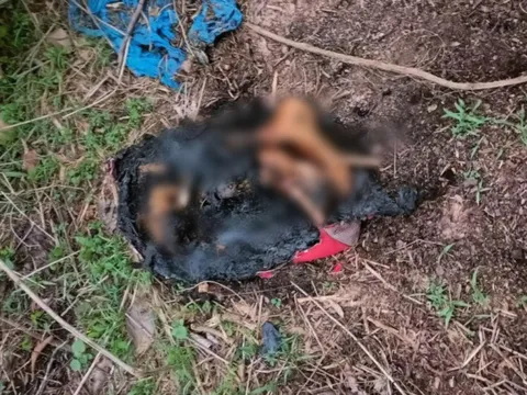 Bình Dương: Phát hiện đôi chân người bị đốt cháy ở bãi đất trống