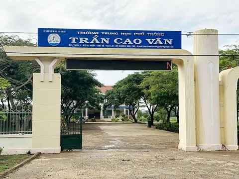 Tạm giữ hình sự nữ thủ quỹ tham ô hơn 450 triệu đồng của trường học