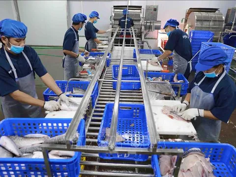 Đẩy mạnh chuyển đổi số trong khu vực kinh tế hợp tác, hợp tác xã